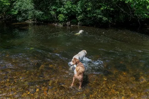 79 Rexwood Lane Sapphire NC 28774