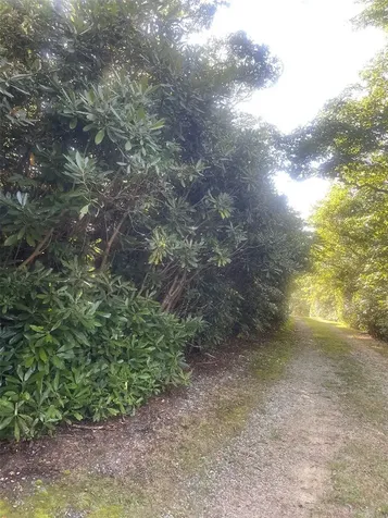 Lot 57 King Gap Highlands NC 28741