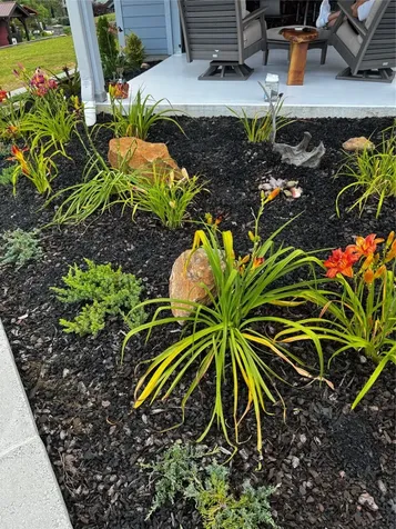 307 Sunset View Trail Franklin NC 28734