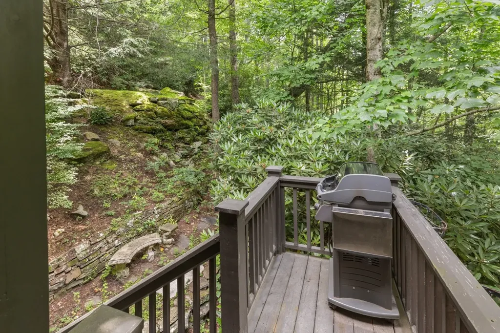 154 Green Haven Cashiers NC 28717