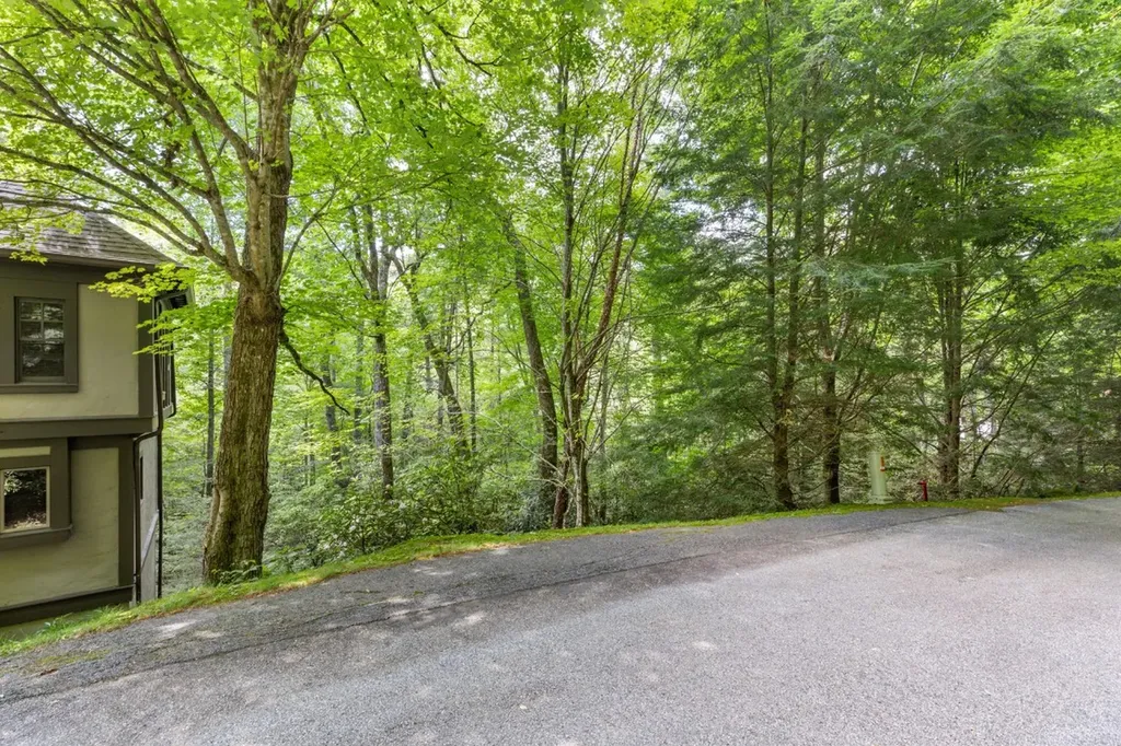 154 Green Haven Cashiers NC 28717