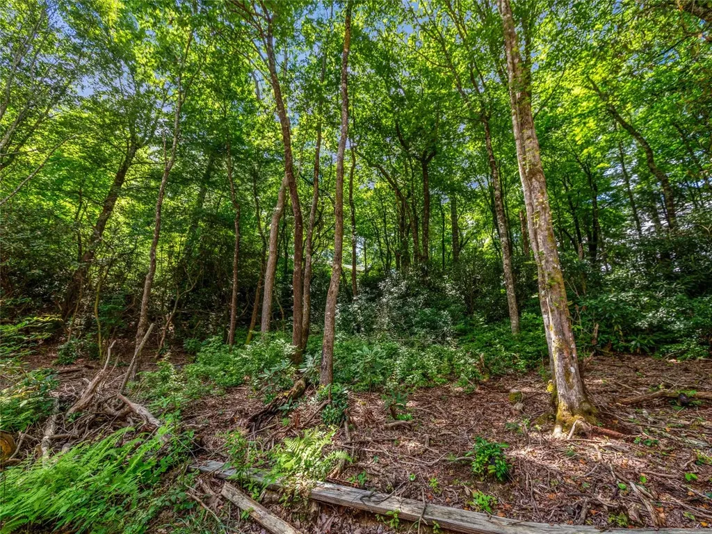 I 10 Seminole Way Lake Toxaway NC 28747