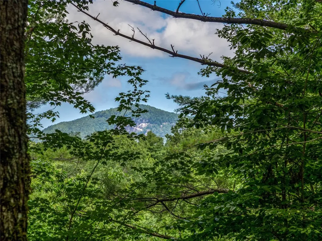 I 10 Seminole Way Lake Toxaway NC 28747