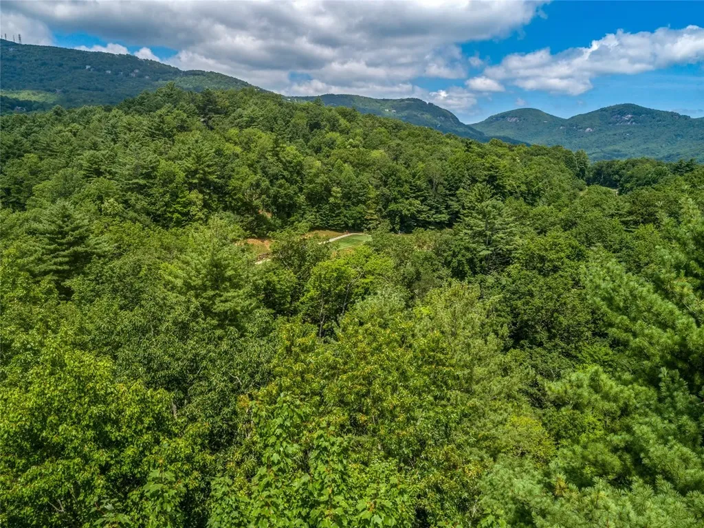 I 10 Seminole Way Lake Toxaway NC 28747