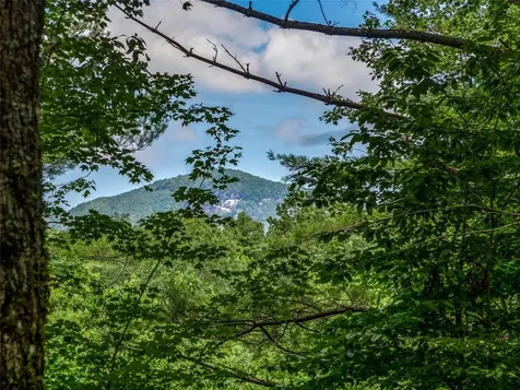 I 10 Seminole Way Lake Toxaway NC 28747