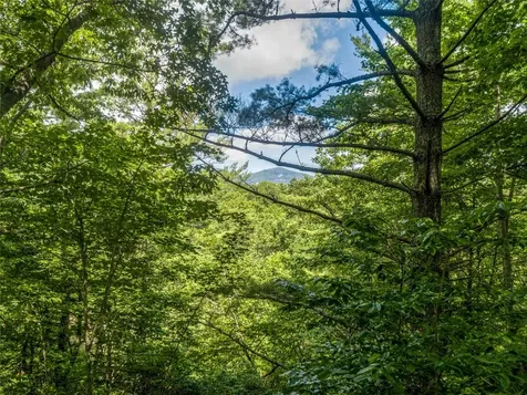 I 10 Seminole Way Lake Toxaway NC 28747