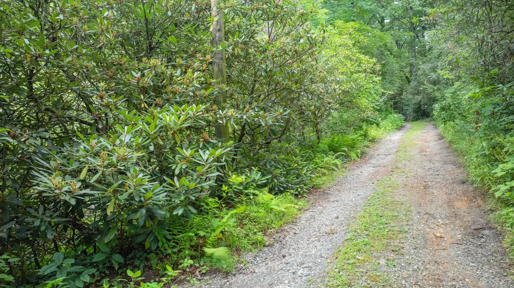 Tbd Sequoyah Drive Highlands NC 28741
