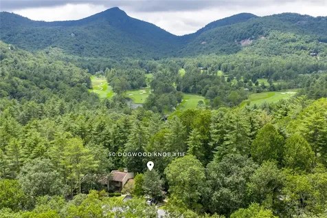 50 Dogwood Knob Sapphire NC 28774