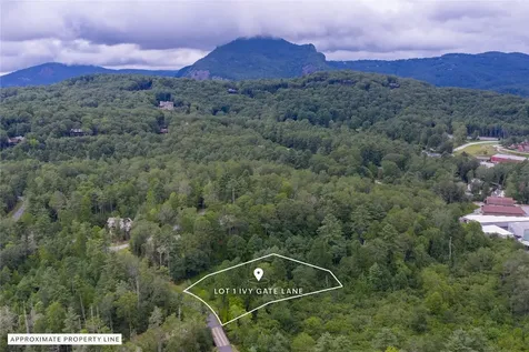 Lot 1 Ivy Gate Lane Cashiers NC 28717