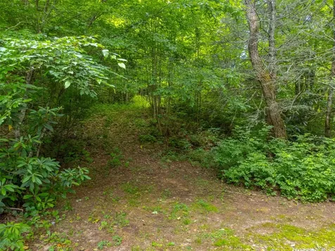 2177 Buck Creek Road Highlands NC 28741