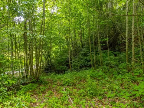 2177 Buck Creek Road Highlands NC 28741