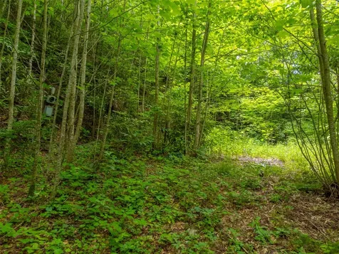 2177 Buck Creek Road Highlands NC 28741