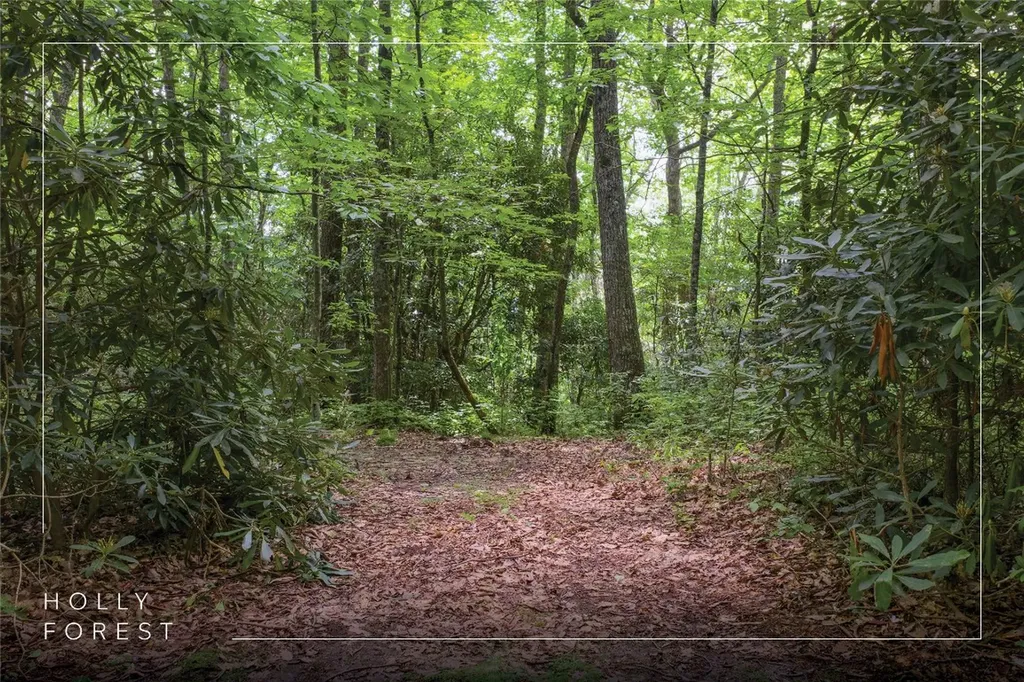 Lot 82 Black Oak Drive Sapphire NC 28774