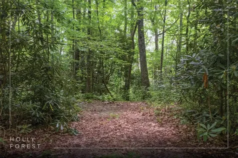 Lot 82 Black Oak Drive Sapphire NC 28774