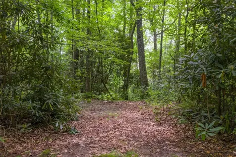 Lot 82 Black Oak Drive Sapphire NC 28774