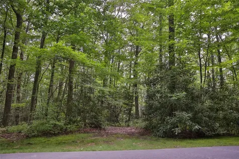 Lot 82 Black Oak Drive Sapphire NC 28774