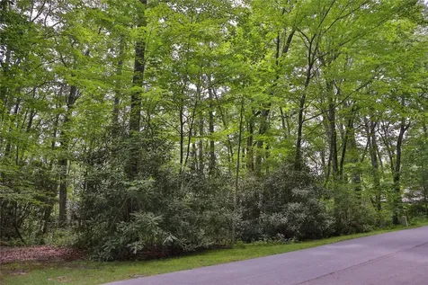 Lot 82 Black Oak Drive Sapphire NC 28774