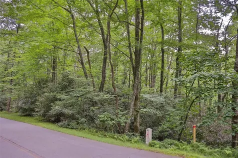 Lot 82 Black Oak Drive Sapphire NC 28774