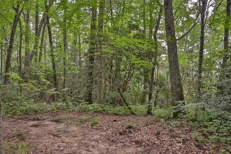 Lot 82 Black Oak Drive Sapphire NC 28774