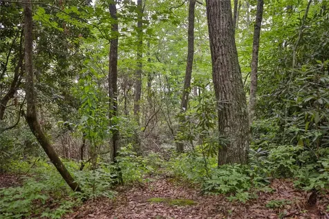 Lot 82 Black Oak Drive Sapphire NC 28774