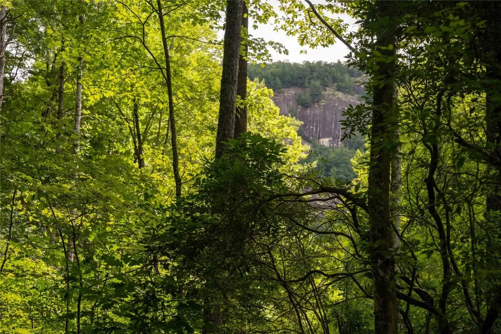 173 Lonesome Valley Road Sapphire NC 28774