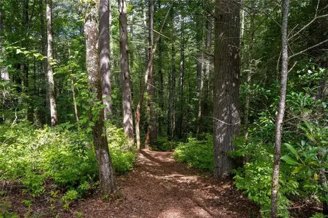 173 Lonesome Valley Road Sapphire NC 28774