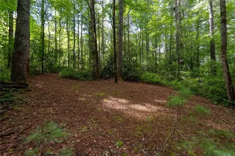 173 Lonesome Valley Road Sapphire NC 28774