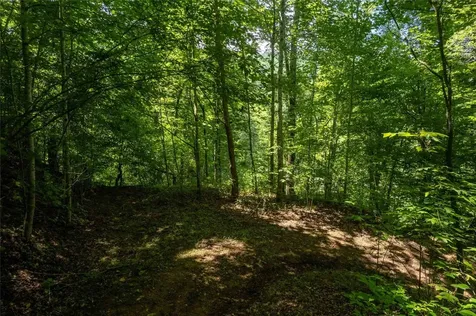 112 Hawks Nest Ridge Cullowhee NC 28723