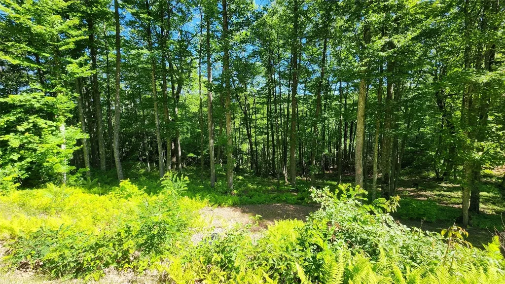 Lot 70 Firesong Lane Glenville NC 28717