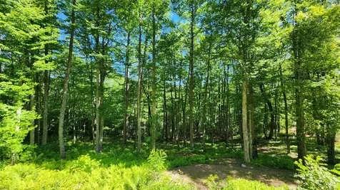 Lot 70 Firesong Lane Glenville NC 28717