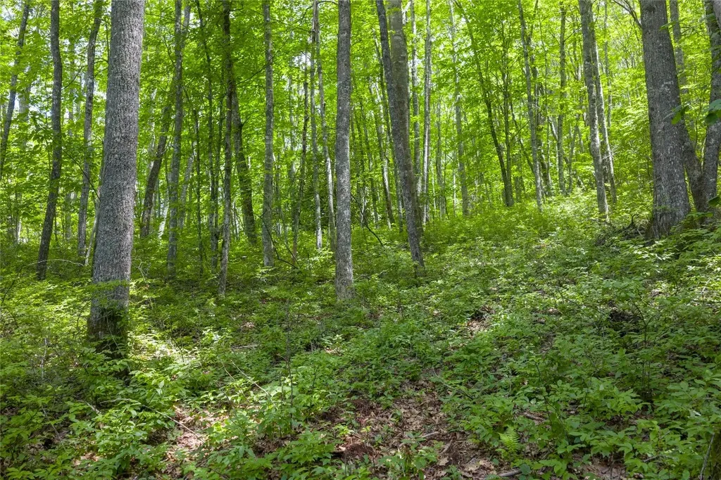 Lot E4 New Settler's Way Glenville NC 28736