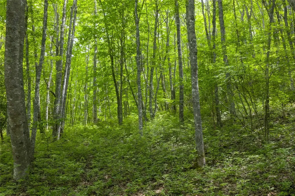 Lot E4 New Settler's Way Glenville NC 28736