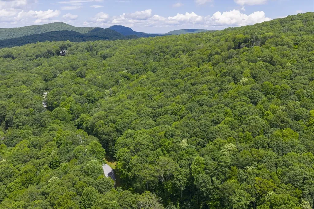 Lot E4 New Settler's Way Glenville NC 28736