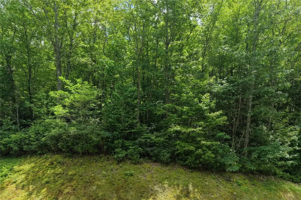 Lot E4 New Settler's Way Glenville NC 28736