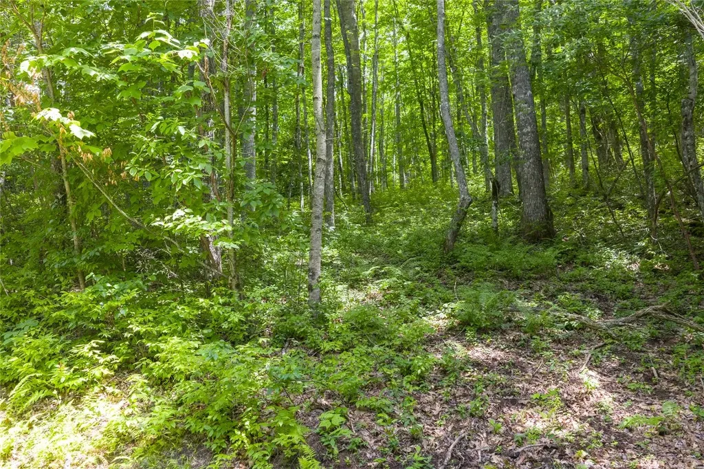 Lot E4 New Settler's Way Glenville NC 28736