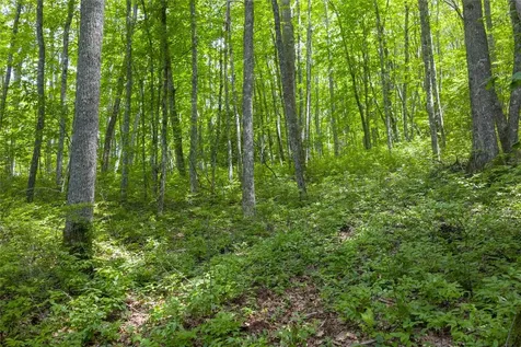 Lot E4 New Settler's Way Glenville NC 28736