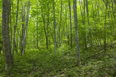Lot E4 New Settler's Way Glenville NC 28736