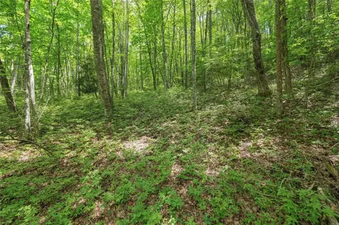 Lot E4 New Settler's Way Glenville NC 28736