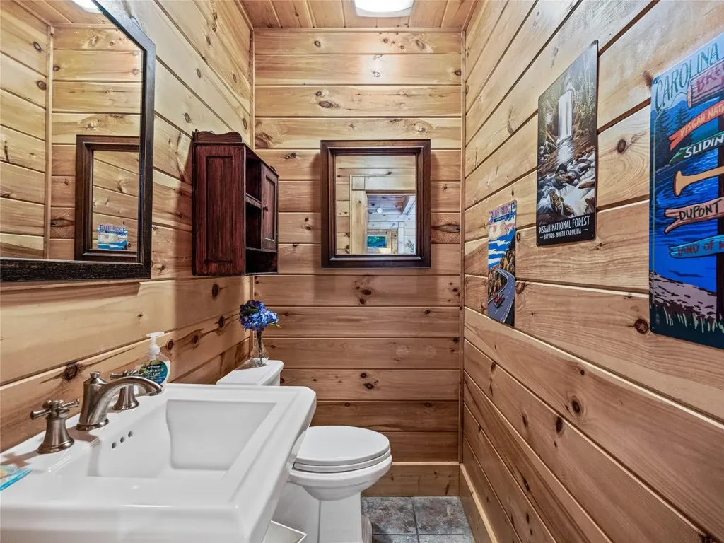 220 Circle Pines Drive Rosman NC 28772