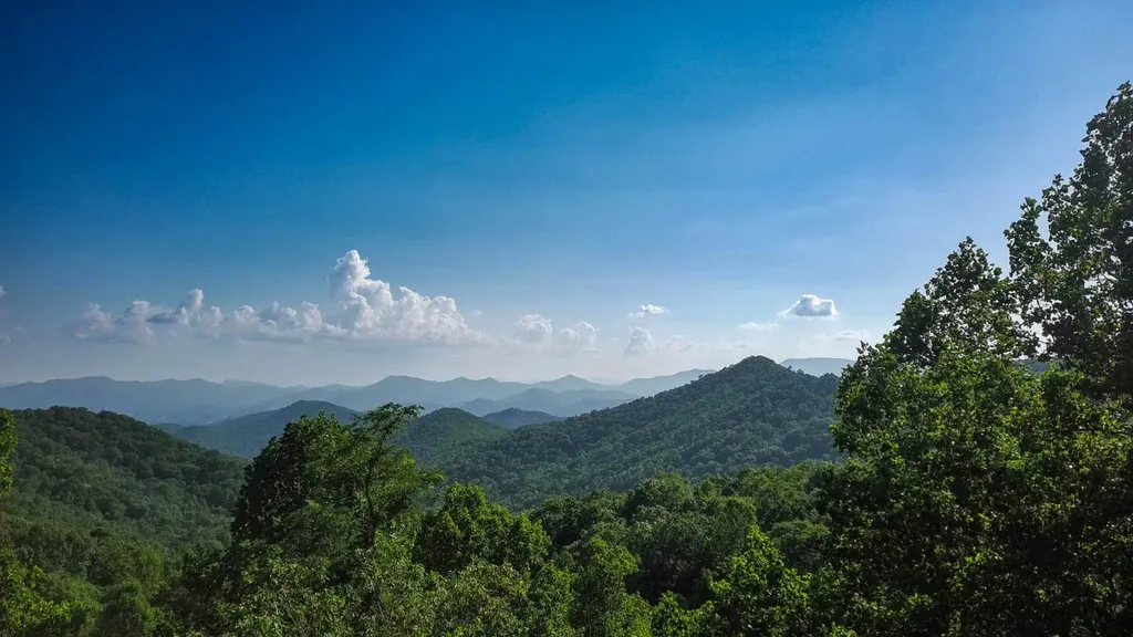 00 Buck Knob Road Scaly Mountain NC 28775