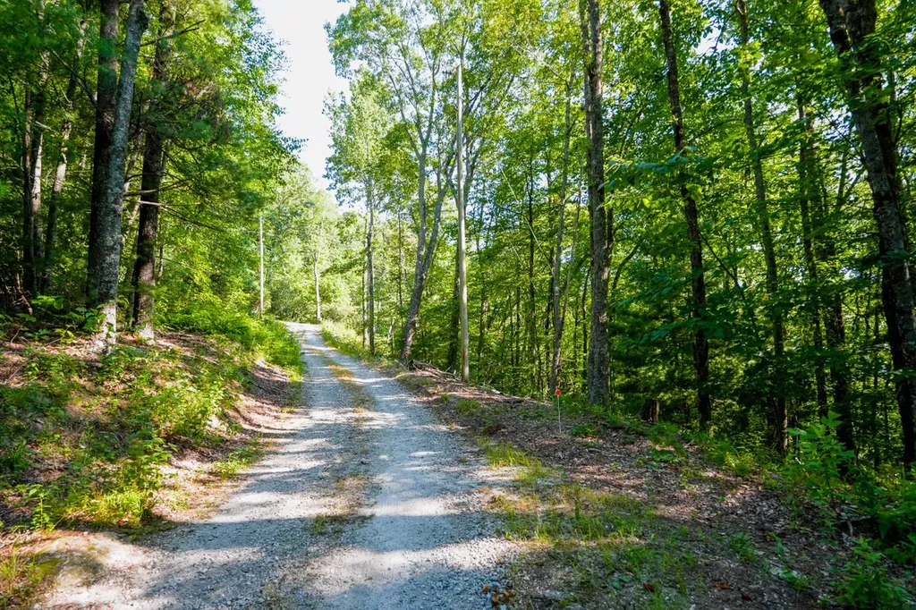 00 Buck Knob Road Scaly Mountain NC 28775