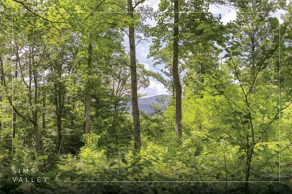 21r Pilot Knob Road Glenville NC 28736