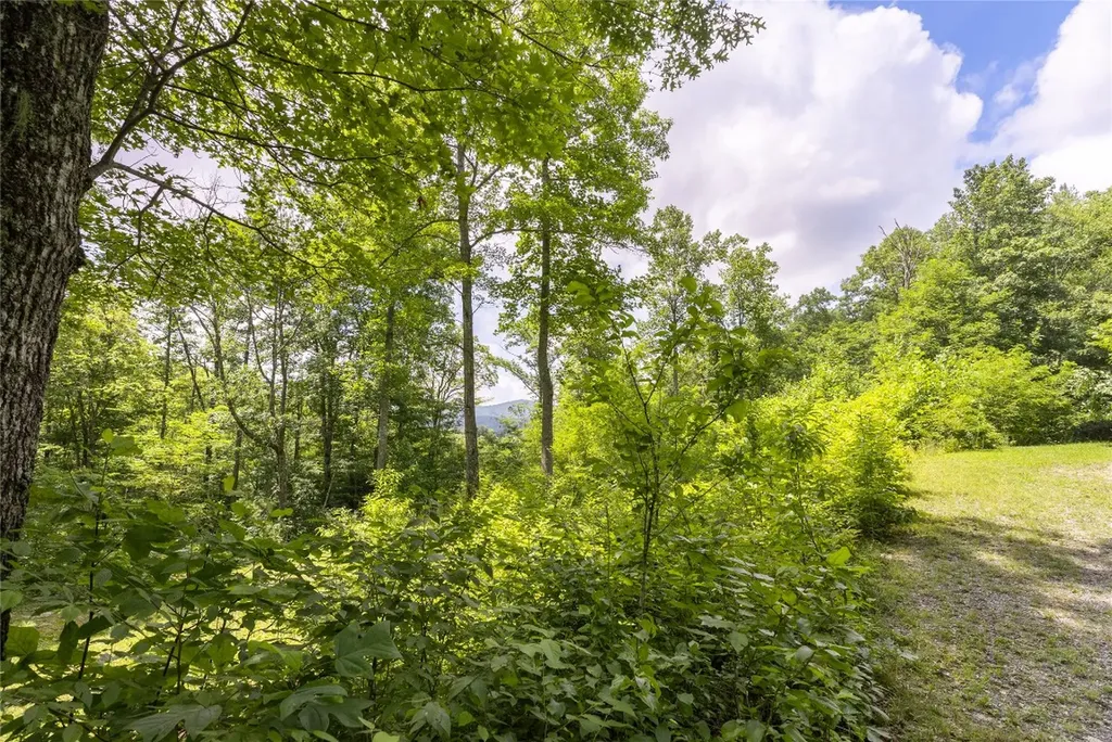 21r Pilot Knob Road Glenville NC 28736