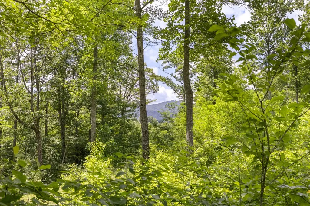 21r Pilot Knob Road Glenville NC 28736