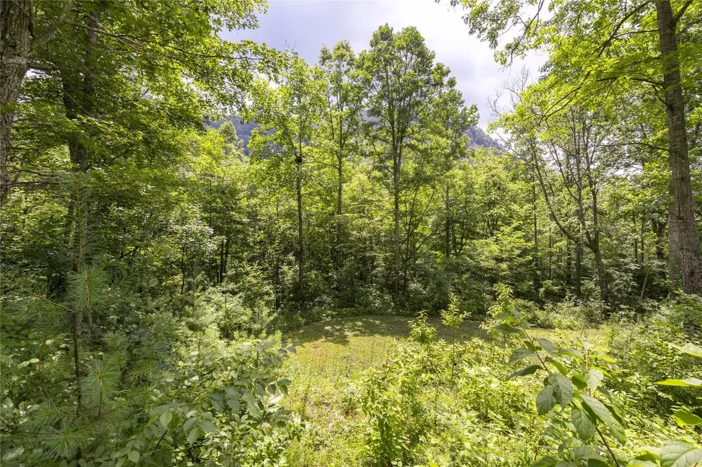 21r Pilot Knob Road Glenville NC 28736