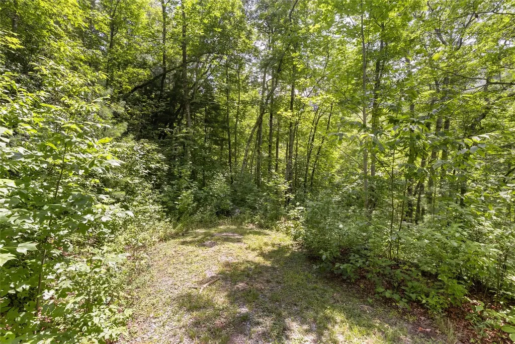 21r Pilot Knob Road Glenville NC 28736