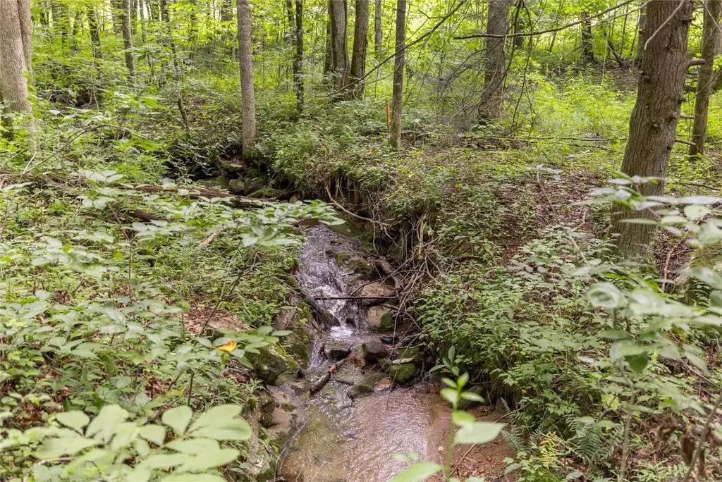 21r Pilot Knob Road Glenville NC 28736