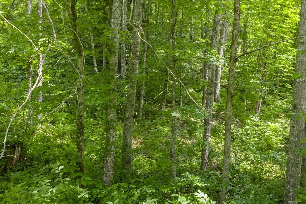 21r Pilot Knob Road Glenville NC 28736