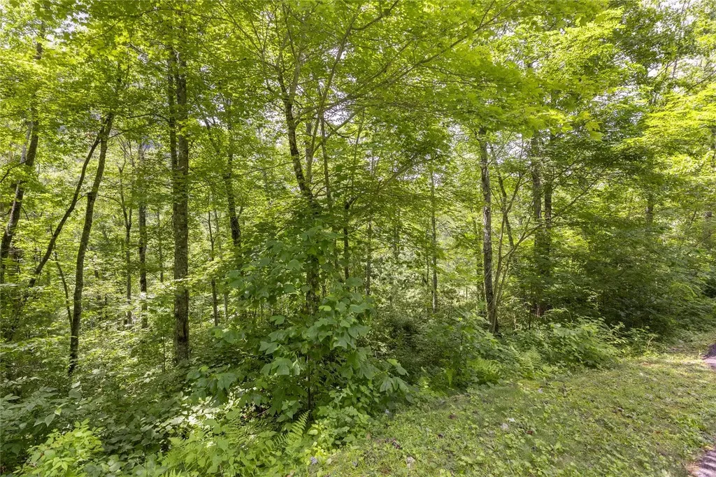 21r Pilot Knob Road Glenville NC 28736