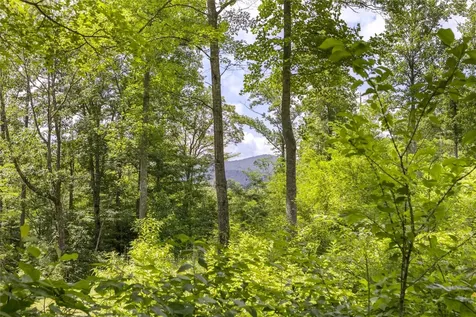 21r Pilot Knob Road Glenville NC 28736